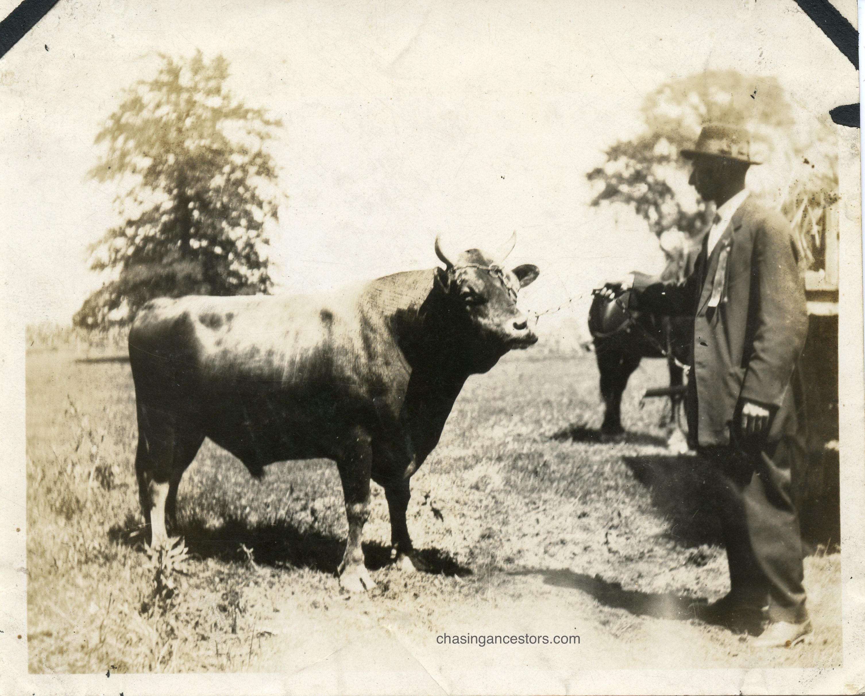 Millikan455Arzaprizebull