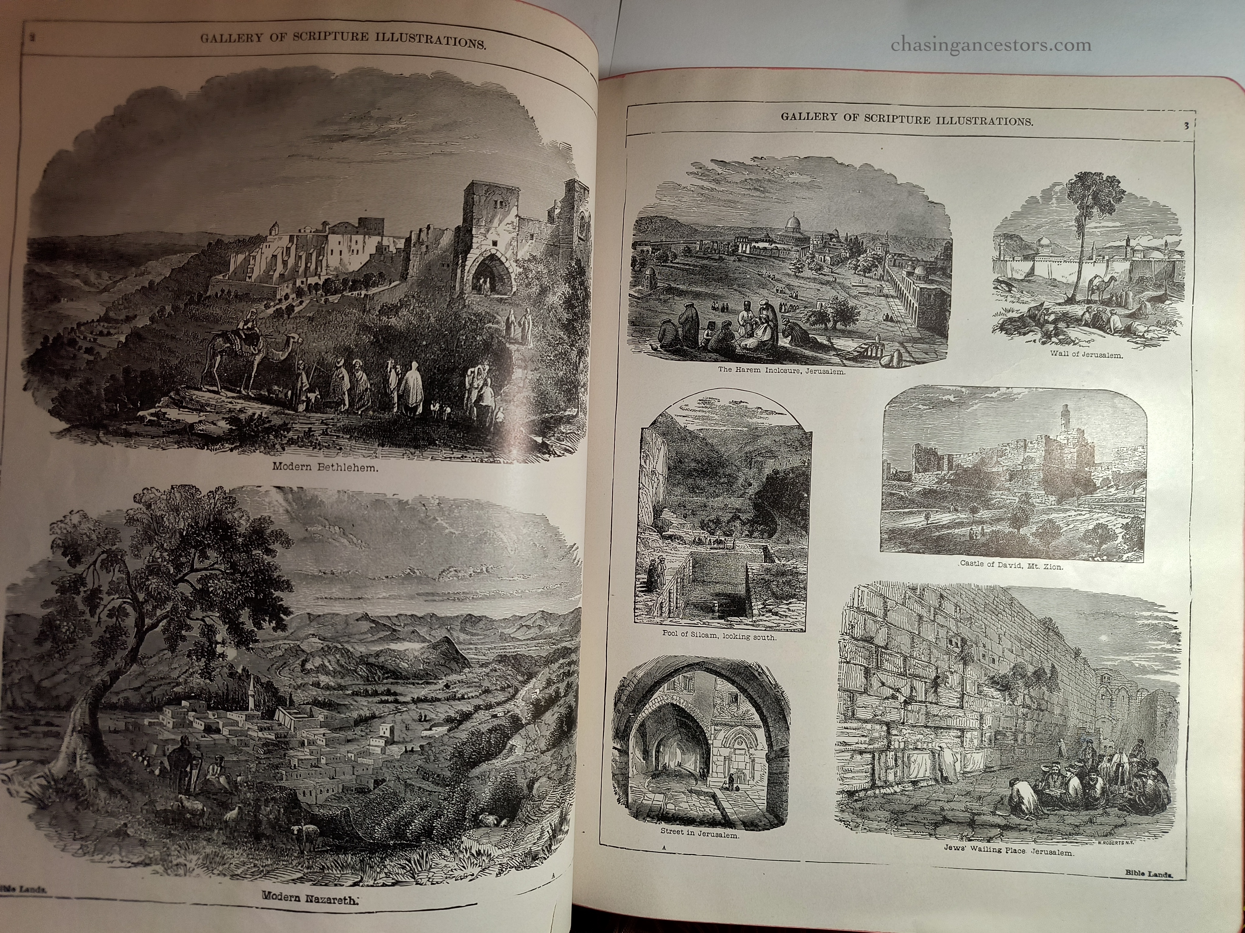 IMG_20240121_115103867_HDR copy